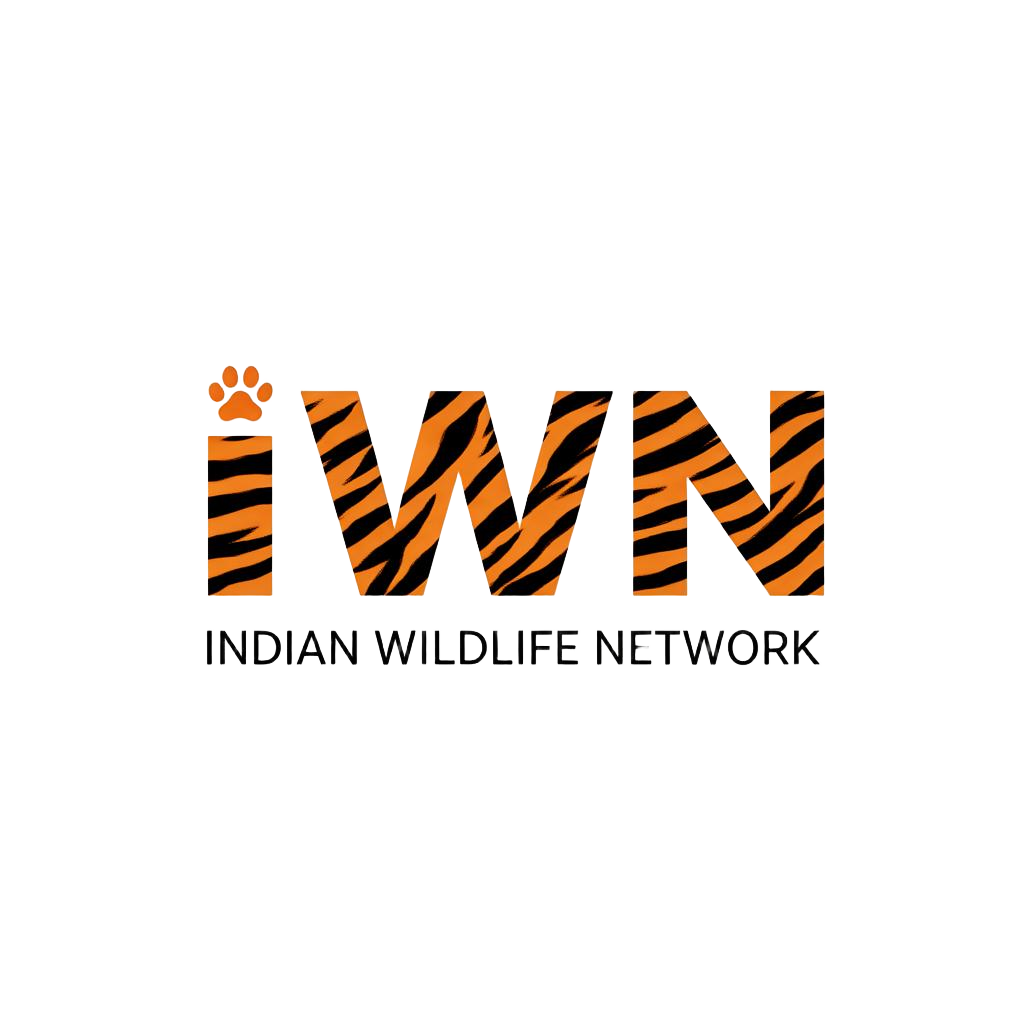 Indian Wildlife Network